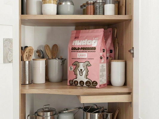 Tired of Giant Bags? Why Cold-Pressed is the Ultimate Space-Saver