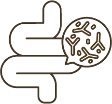 Natural Pre and Post Biotics