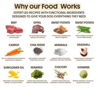 Fresh - Beef