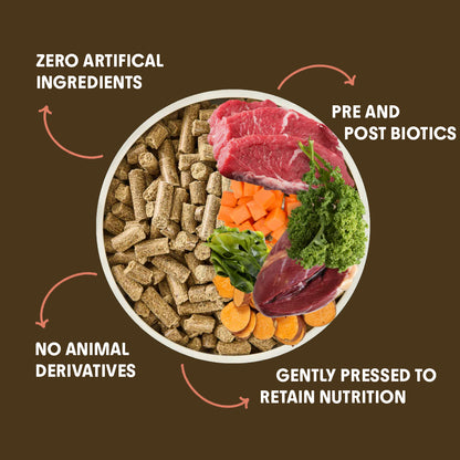 Chicken Cold-Pressed Dog Food