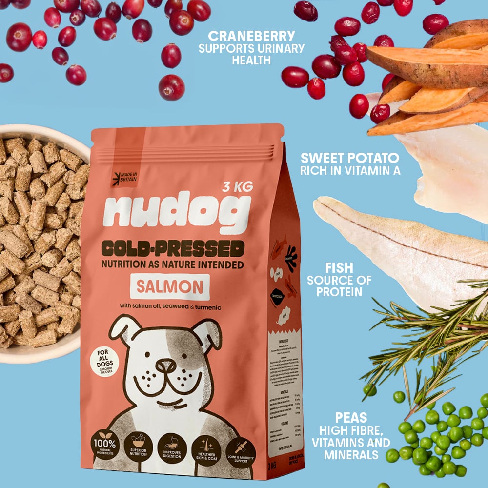Salmon Cold-Pressed Dog Food