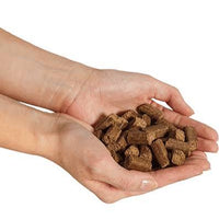 Salmon Cold-Pressed Dog Food