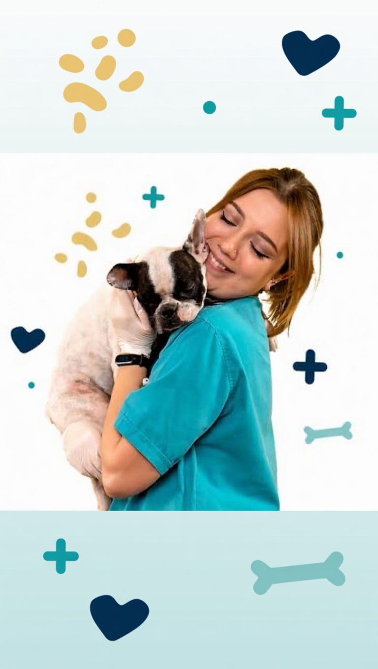 Formulated by vets. Driven by data. Obsessed over by dogs.