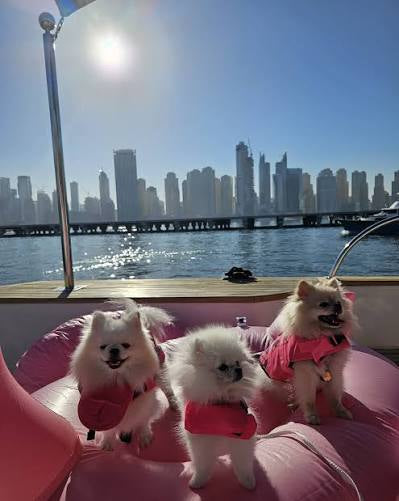 my babies out on the boat