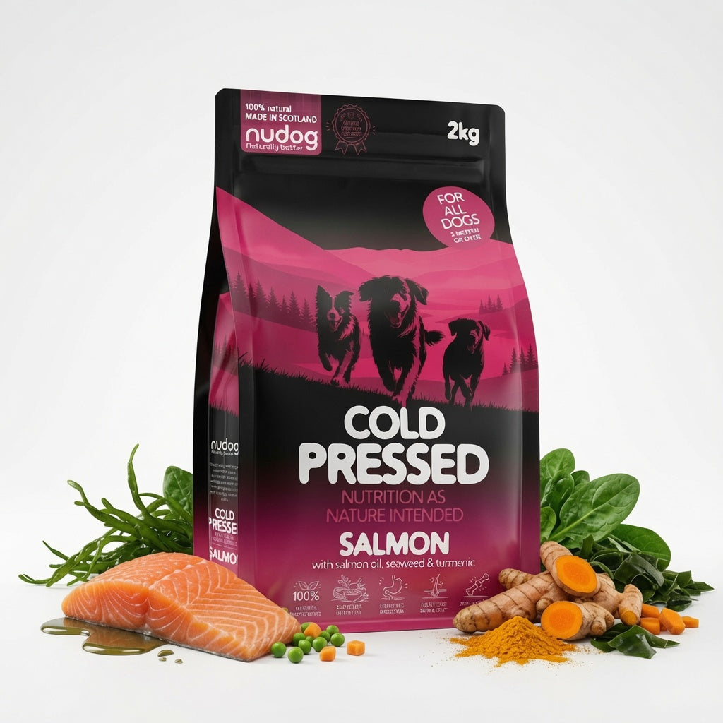 Salmon Cold-Pressed Dog Food