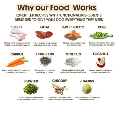 Fresh - Turkey