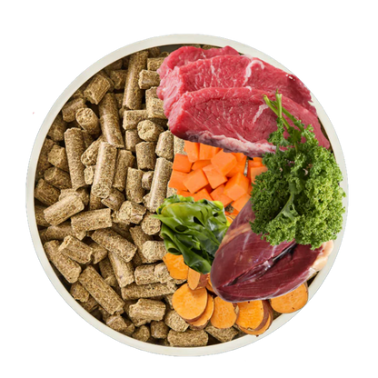 Lamb Cold-Pressed Dog Food
