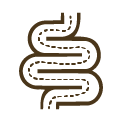 Improved Digestion